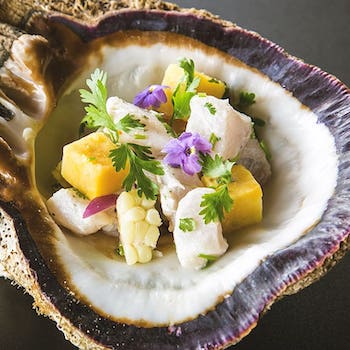 Fresh seafood course served in a shell by The Private Chef CR